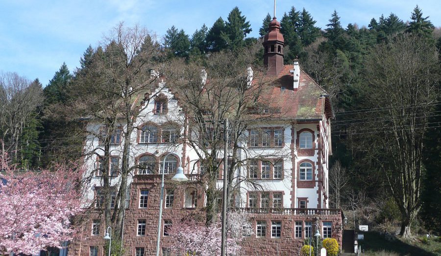 Workshop in der Schule